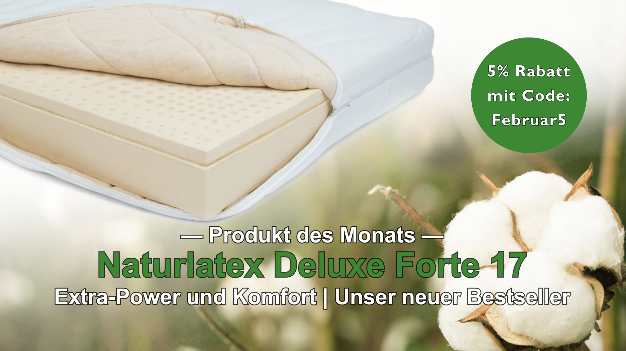 zum Produkt des Monats